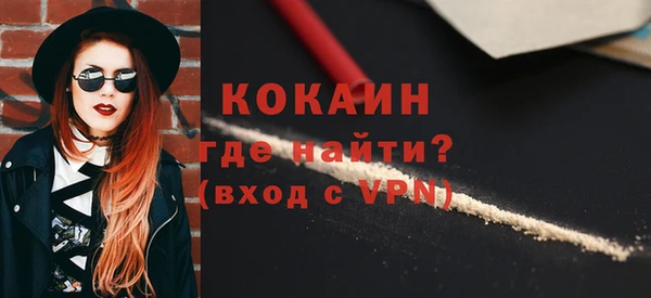 тгк Алексин