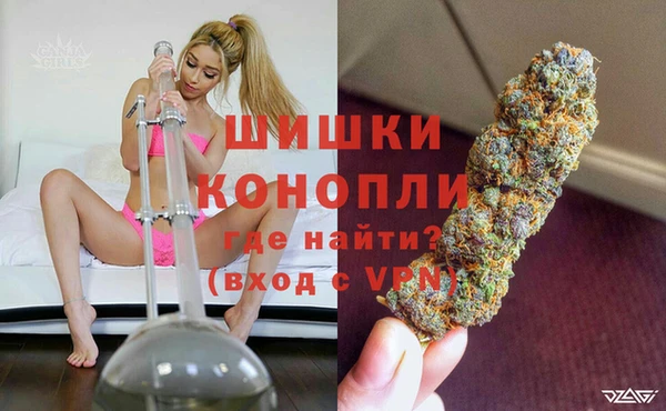 бошки Алзамай