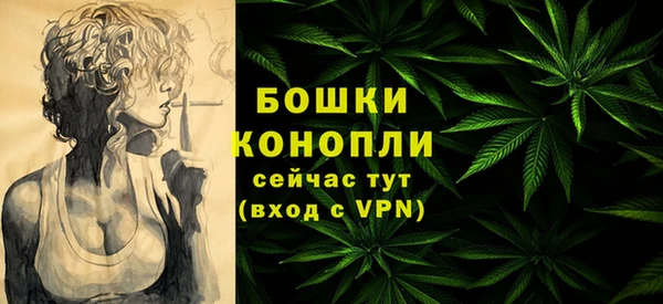 дурь Карпинск