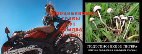 бошки Алзамай