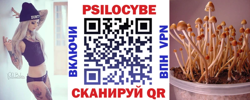 магазин    Чистополь  Псилоцибиновые грибы ЛСД 